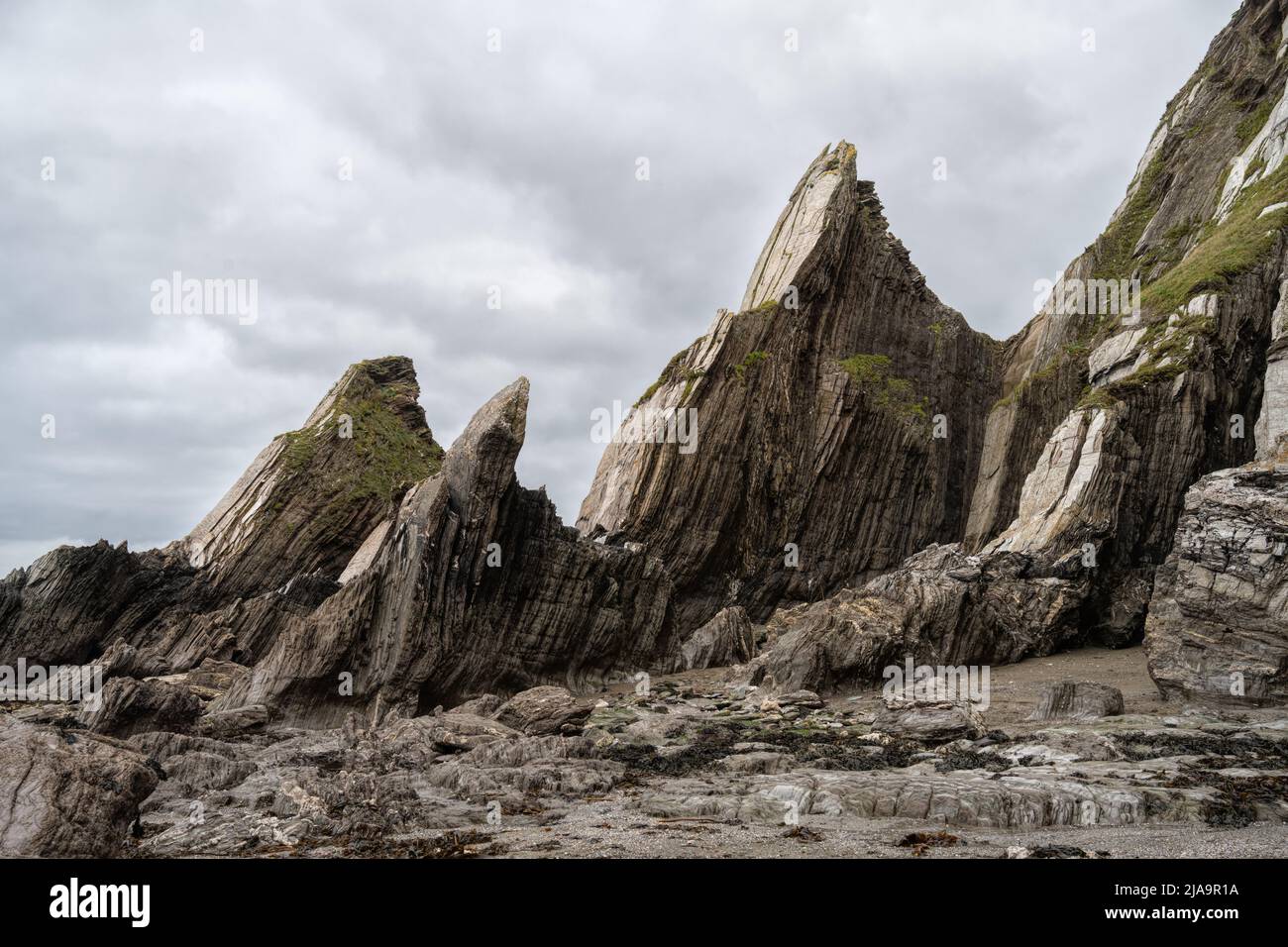 Steinformationen am Wyscombe Beach, Devon, England. Stockfoto