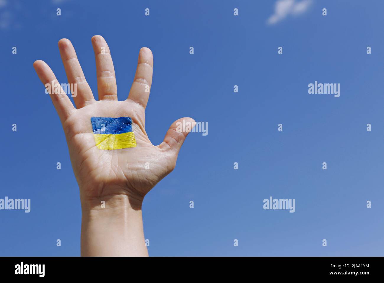 Nahaufnahme der Hand eines Weibchens bei Sonnenschein mit ukrainischer Nationalflagge auf blauem Himmel. Eine Hand, die zur Unterstützung der Ukraine erhoben wird. Stockfoto