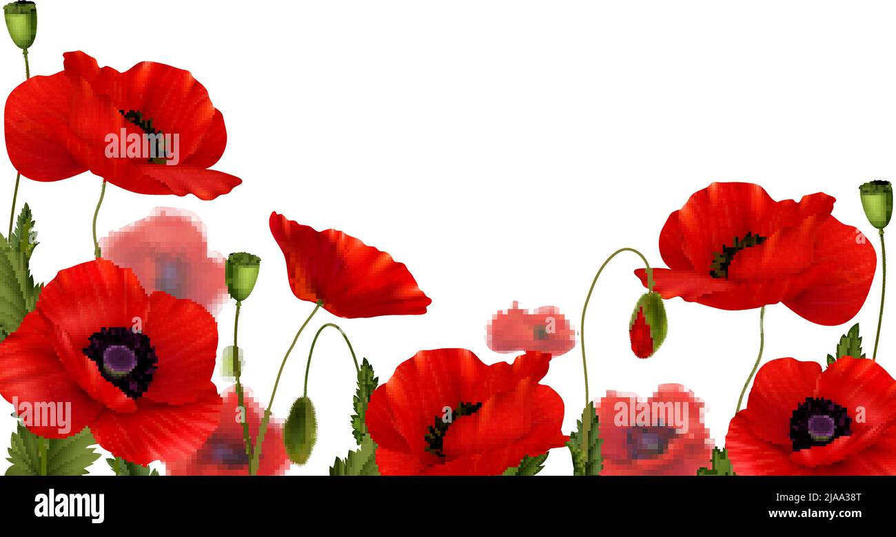 Gedenktag Design-Konzept mit rot blühenden Mohnblumen auf weißem Hintergrund realistische Frühling Vektor-Illustration Stock Vektor