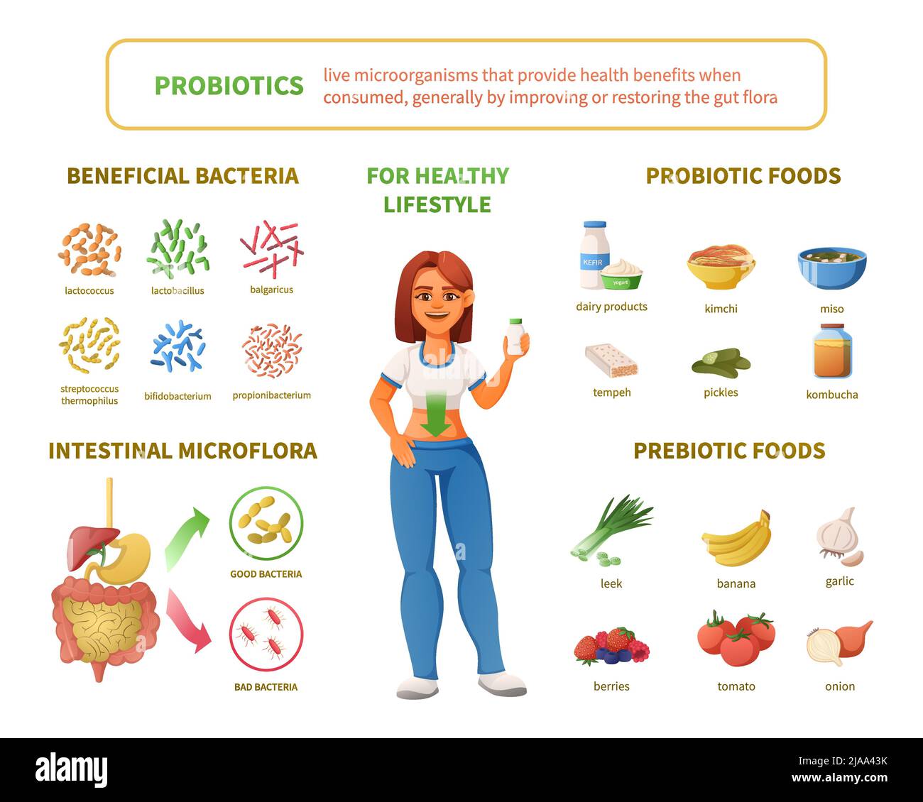 Probiotika Infografiken Cartoon-Set mit weiblichen Charakter umgeben von isolierten Ikonen der Darmflora Bakterien Lebensmittel Vektor-Illustration Stock Vektor