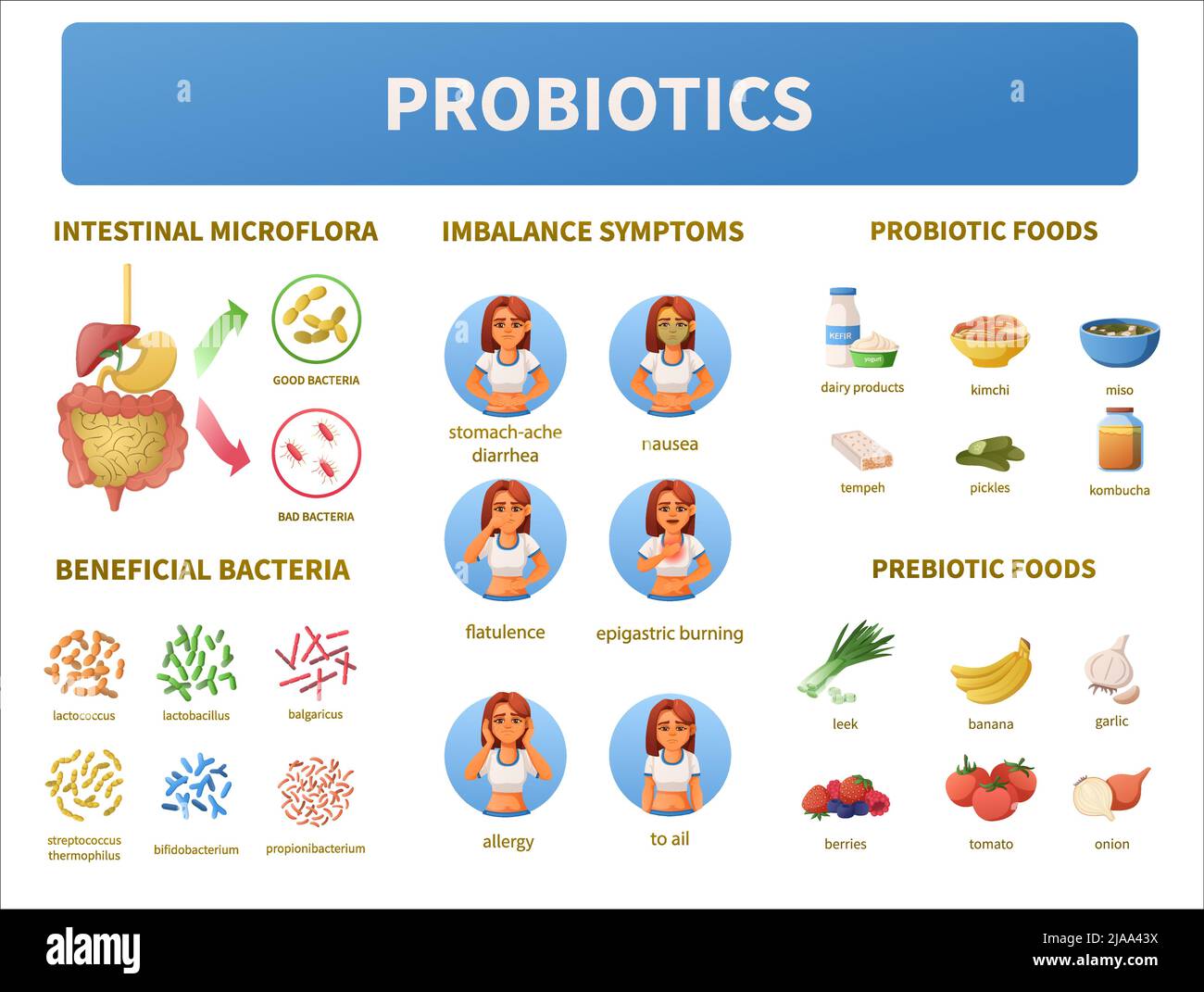 Probiotika Infografiken Cartoon-Set mit isolierten Darm-Mikroflora und Bakterien-Symbole mit Lebensmitteln Bilder und Menschen Vektor Illustration Stock Vektor