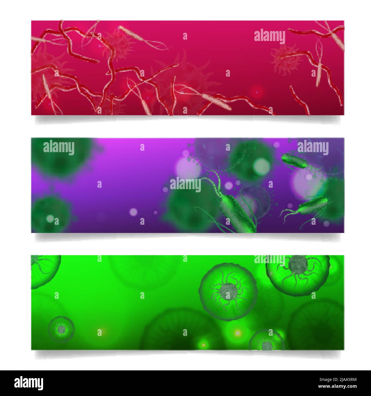 Bakterien Formen Satz von drei horizontalen Bannern mit Kunstwerken und realistischen Bildern von bunten Mikroben Mikroorganismen Vektorgrafik Stock Vektor