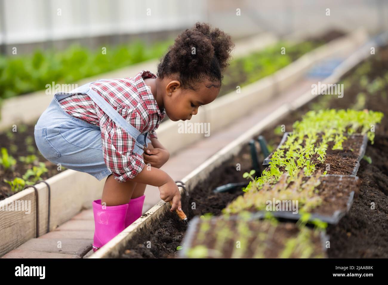 Niedliche kleine Kind Bauer Tochter spielen Pflanzen Sie den Baum grünen Garten in Gewächshaus-Farm Stockfoto
