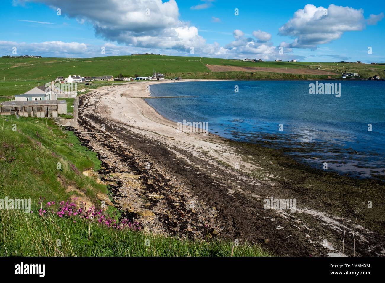 Scapa Bay, mit Blick auf Scapa Flow, Orkney Islands, Schottland Stockfoto