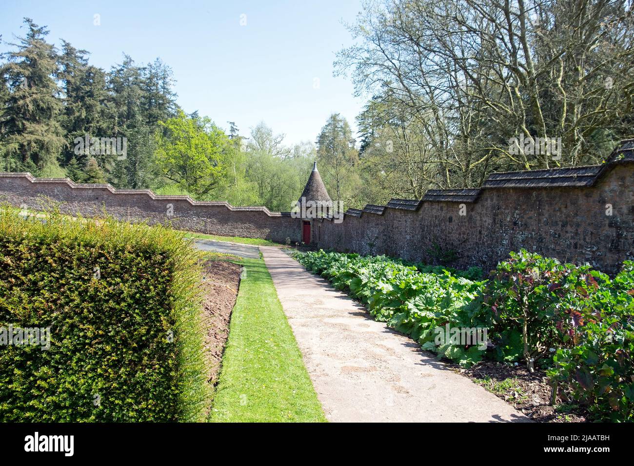 Ummauerten Garten Stockfoto