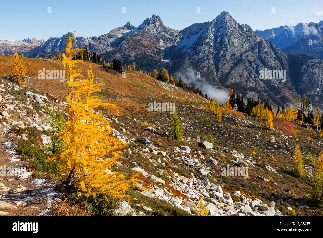 WA21607-00...WASHINGTON - Herbst auf den hohen Wiesen der North Cascades; Teil des Okanogan-Wenatchee National Forest. Stockfoto