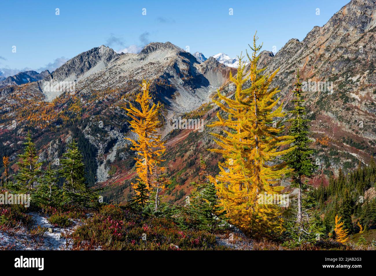 WA21609-00...WASHINGTON - Herbstfärbung unter dem Maple Pass in den North Cascades im Okanogan-Wenatchee National Forest. Stockfoto
