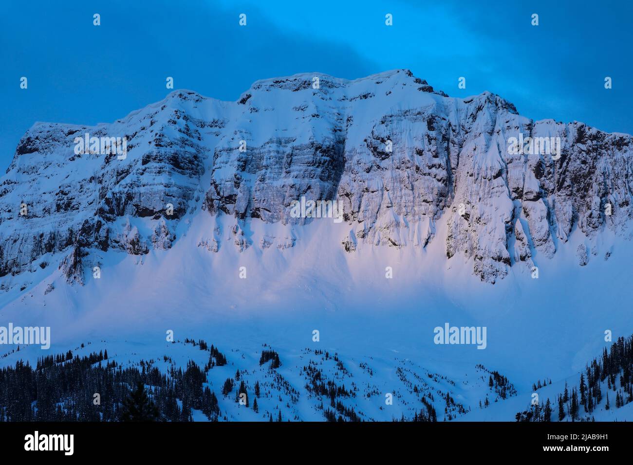 Barronette Peak bedeckt mit Schnee und weichem blauem Morgenlicht im Yellowstone National Park Stockfoto