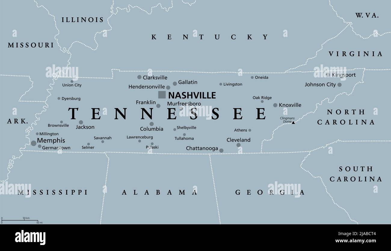 Tennessee, TN, graue politische Karte, mit der Hauptstadt Nashville, und mit großen, Wichtige Städte. Bundesstaat Tennessee, im Südosten der Region gelegen. Stockfoto