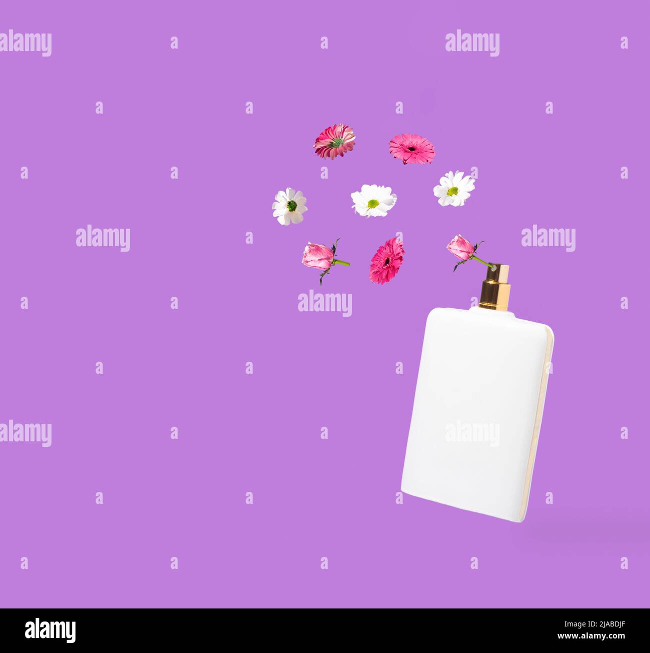 Weiße Flasche Parfüm mit Spray von bunten Frühlingsblumen auf pastellviolettem Hintergrund. Minimales Naturkonzept in horizontaler Ausrichtung. Stockfoto