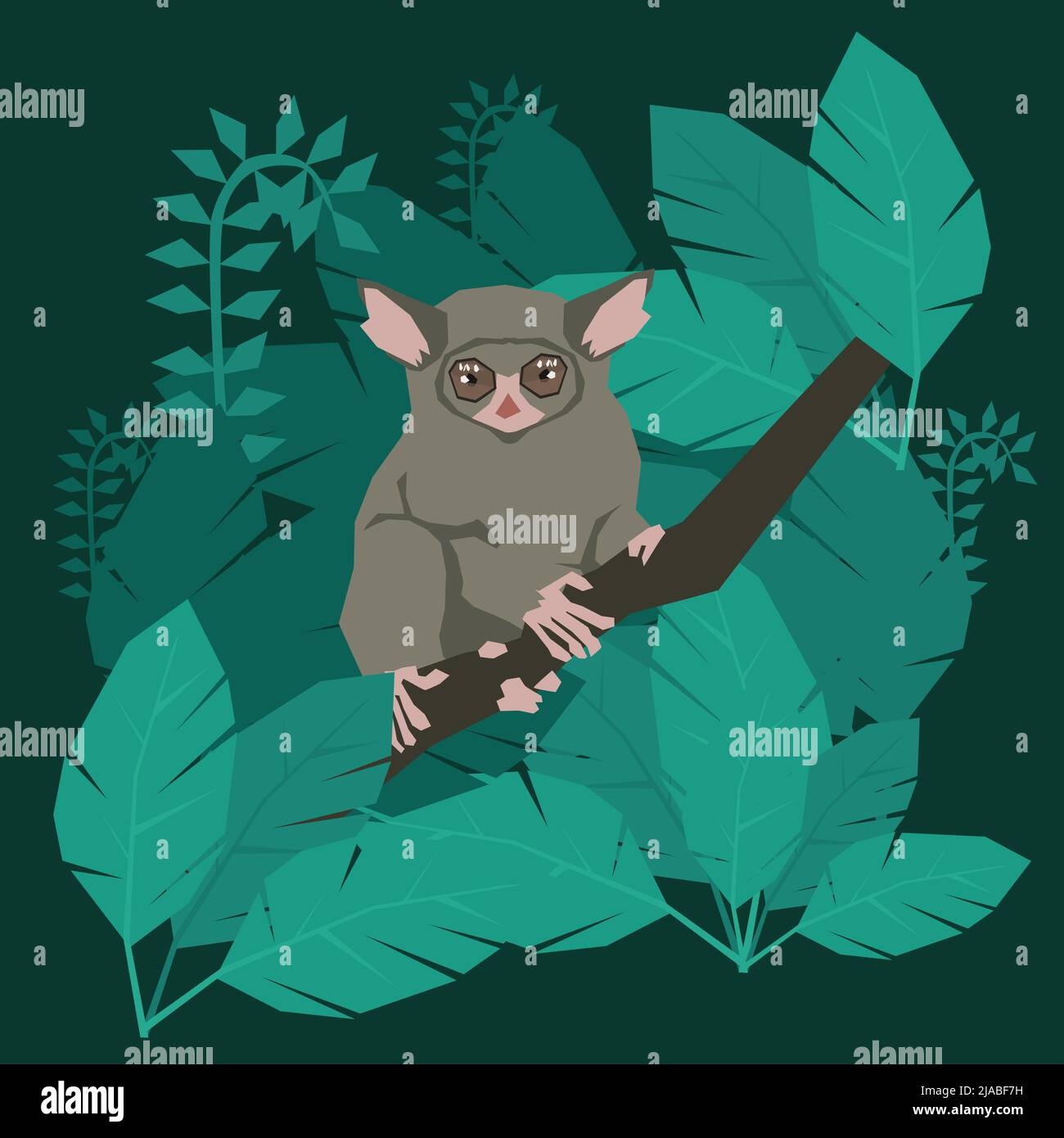 Tarsier Affen Clip Art Stock Vektor