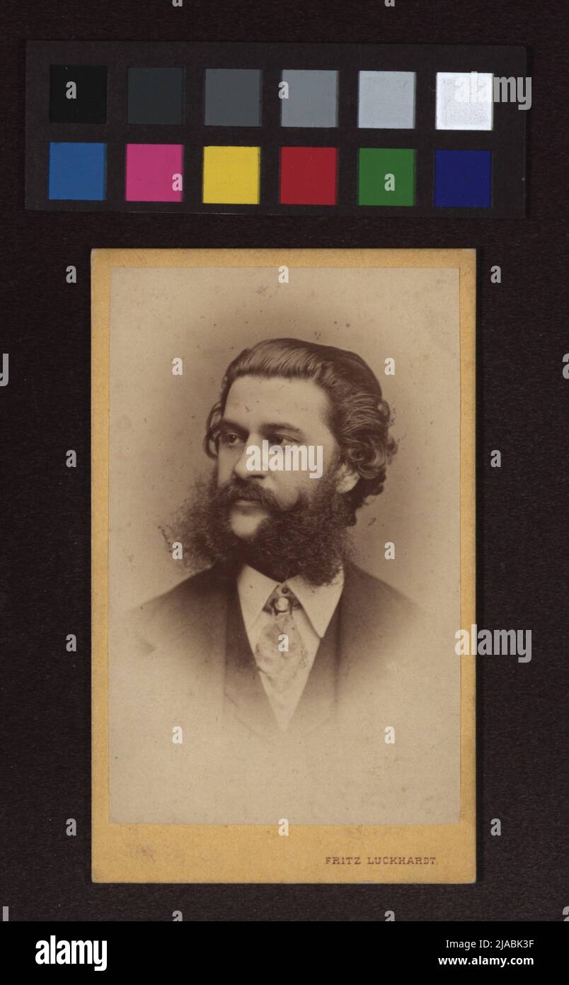 Johann Strauß, Sohn (1825-1899), Dirigent und Komponist. Fritz Luckhardt (1843-1894), Fotograf Stockfoto