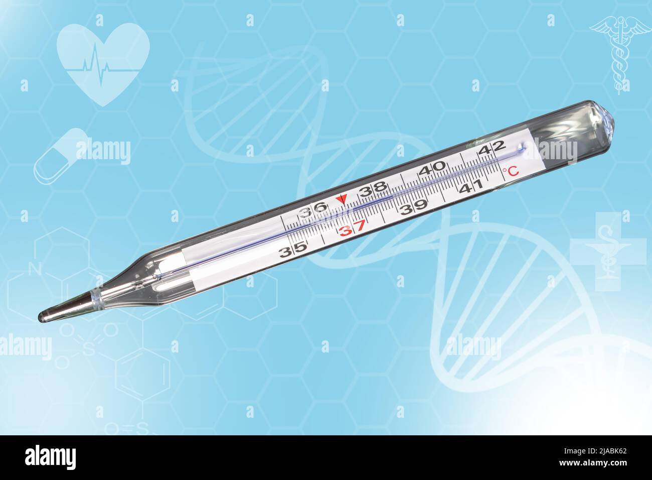 Analoges klinisches Thermometer, quecksilberfrei, kalibriert in Grad Celsius, was auf eine Temperatur von 38,5 Grad Celsius hinweist. Fieber oder Krankheit konz Stockfoto