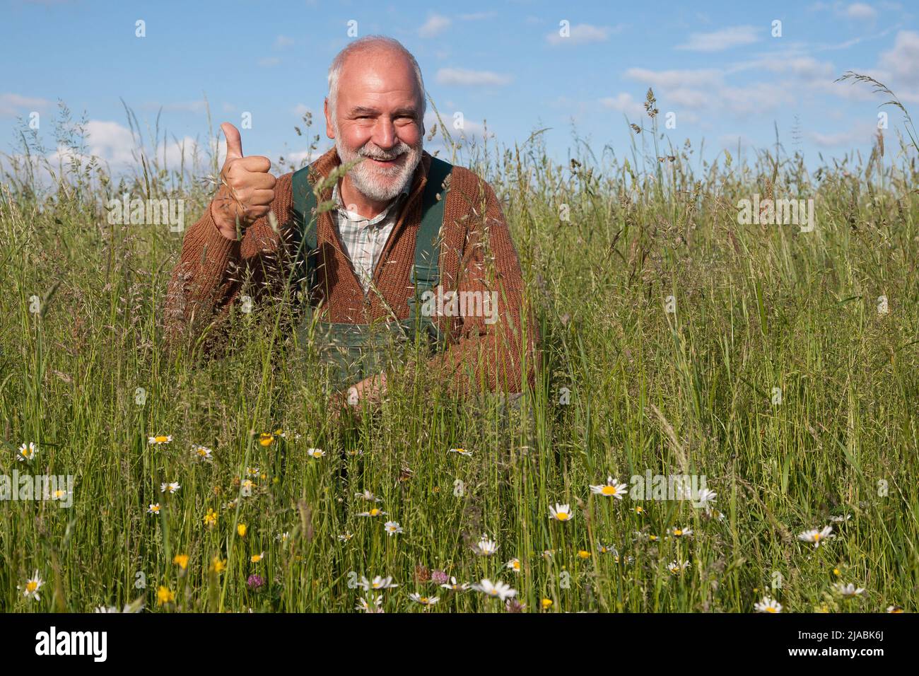 Ein freundlicher alter Bauer auf seiner biologisch bewirtschafteten Wiese lächelt an der Kamera und gibt seine Daumen nach oben. Stockfoto