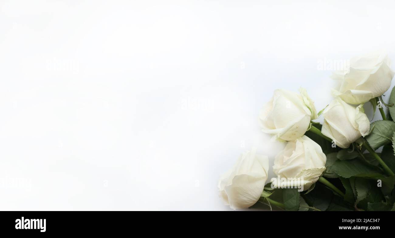 Blumenzusammensetzung. Rahmen aus weißen Blumen auf weißem Hintergrund. Valentinstag, Muttertag und Frauentag Konzept Stockfoto