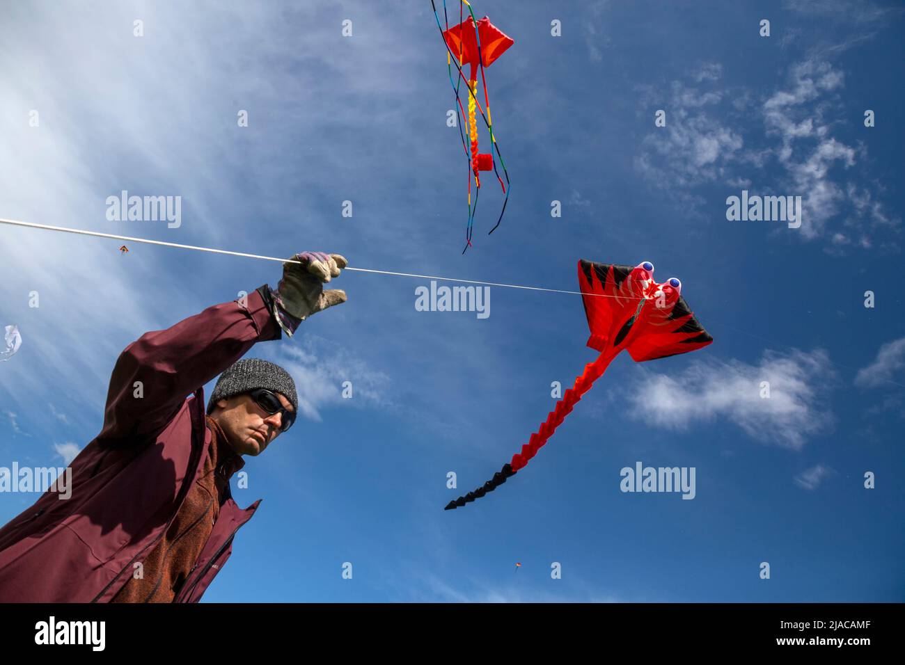 Moskau, Russland. 29.. Mai 2022. Ein Mann fliegt einen Drachen während des Drachenfestes Pyostroye Nebo (eng: Colourful Sky) 2022 im Moskauer Museumsreservat Tsaritsyno, Russland. Nikolay Vinokurov/Alamy Live News Stockfoto