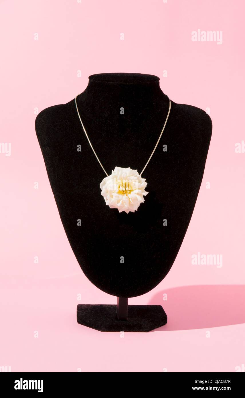 Kreative elegante Halskette aus weißer Rosenblüte auf pastellfarbenem Hintergrund. Modernes minimalistisches Konzept. Sommerkomposition. Stockfoto