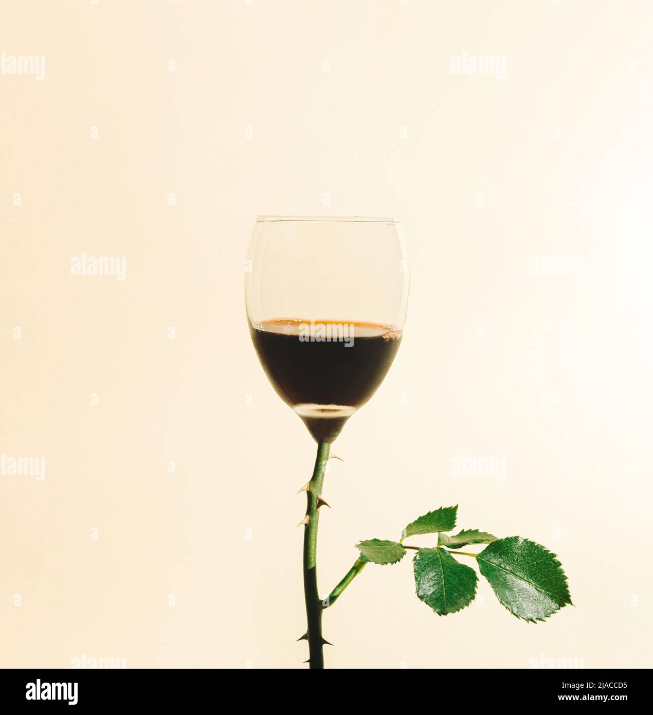 Weinglas mit Rosenstiel auf beigem Hintergrund. Minimales Urlaubskonzept. Valentinstag Feier Idee. Stockfoto