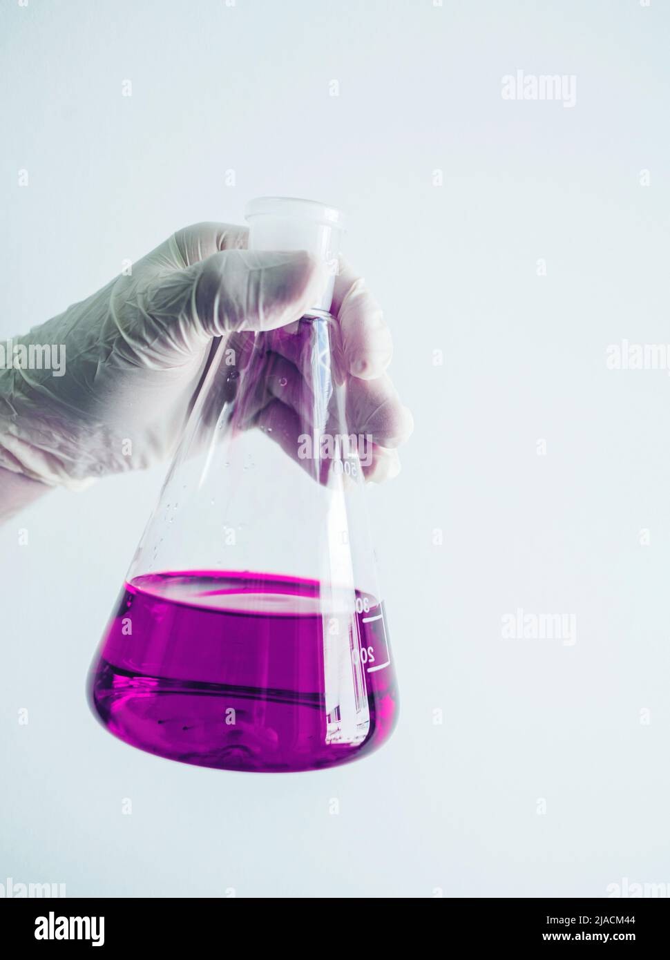 Laborbecher in der Hand des Wissenschaftlers in Handschuhen. Kolben mit medizinischer Flüssigkeit Stockfoto