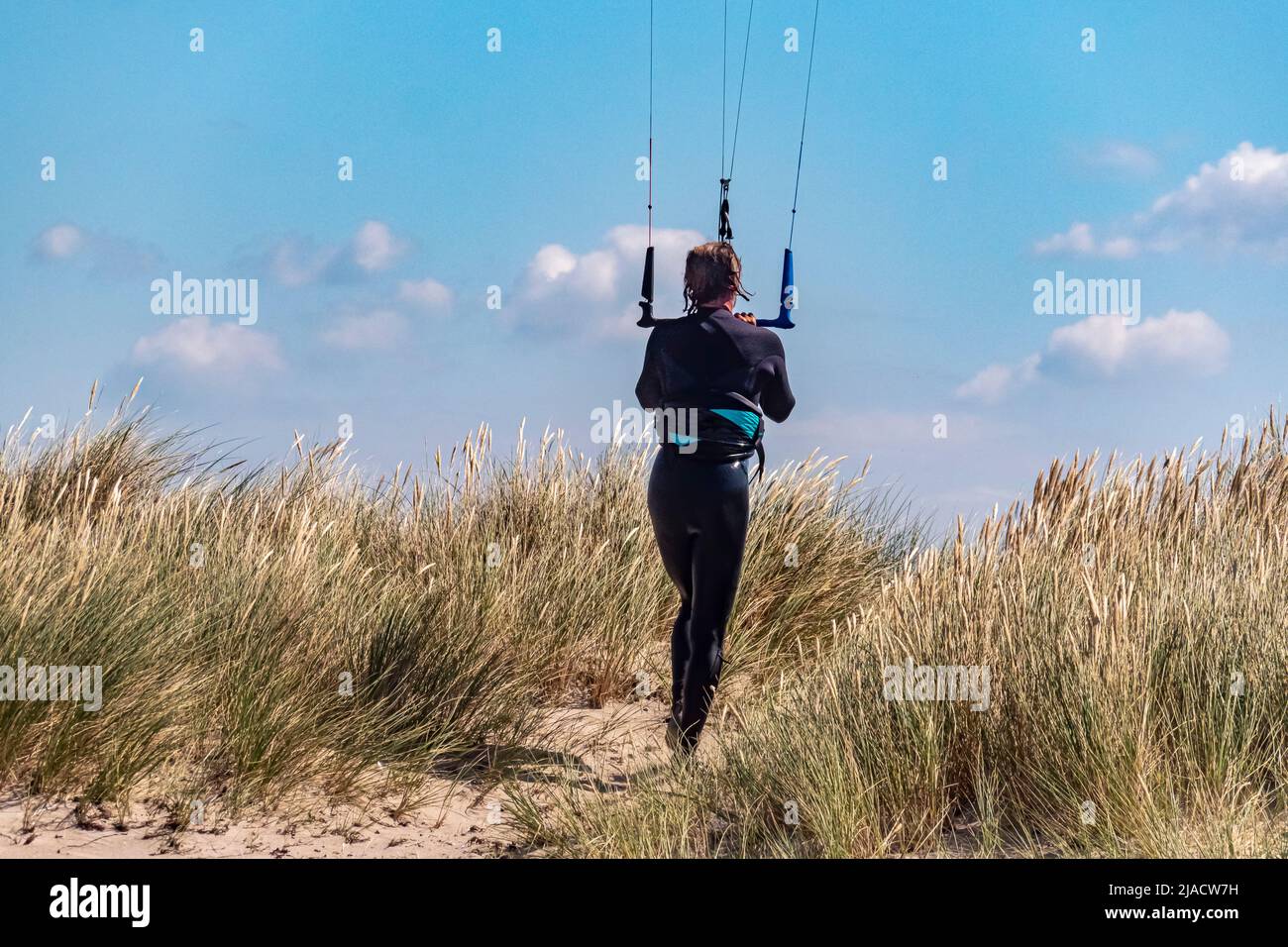 Blick auf einen Kitesurfer, der mit Trapez durch das Dünengras eines Strandes läuft Stockfoto