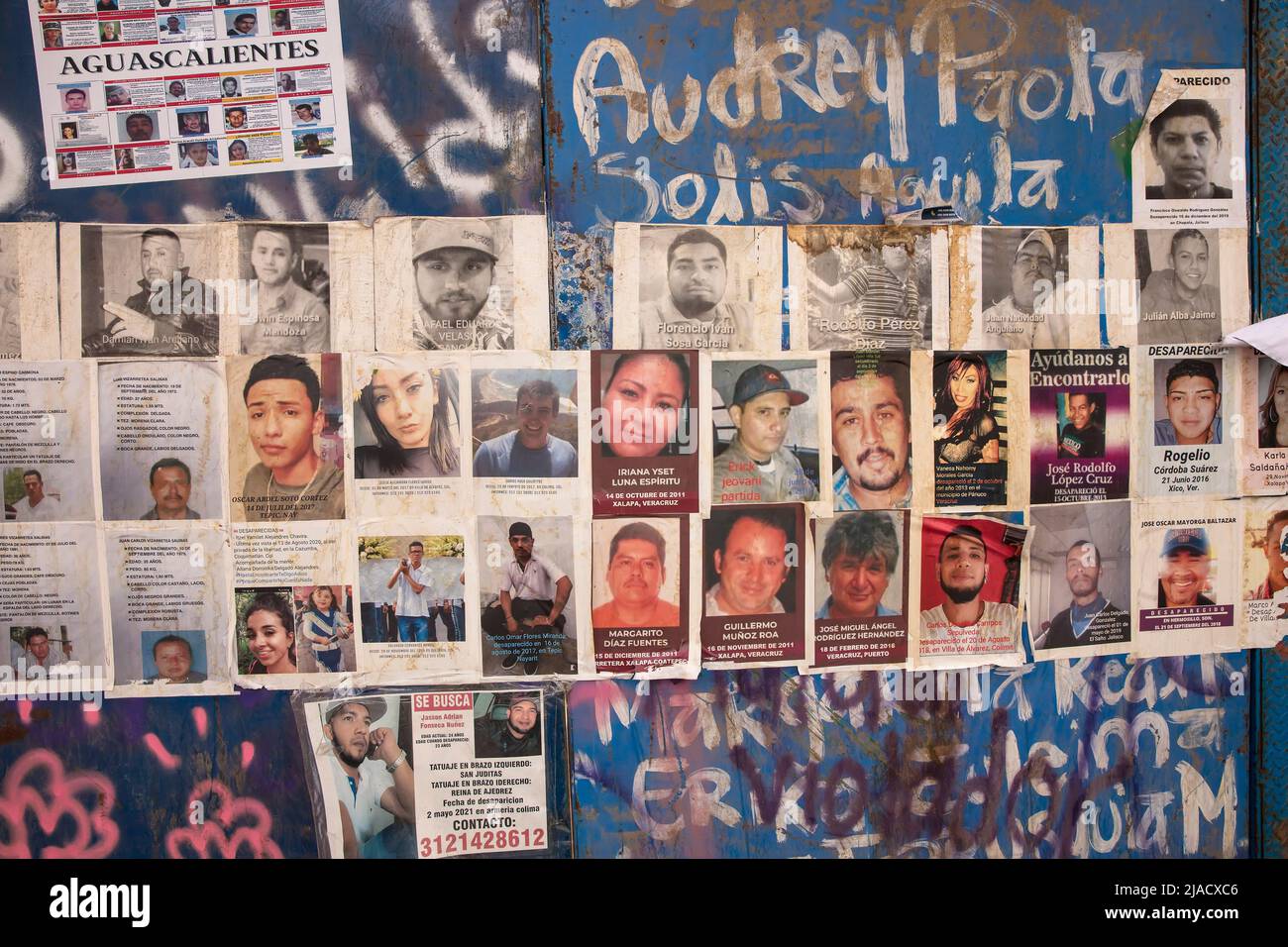 Bilder von Vermissten, die auf der provisorischen Gedenkmauer zu den Verschwundenen in Mexiko-Stadt, Mexiko, gepostet wurden Stockfoto