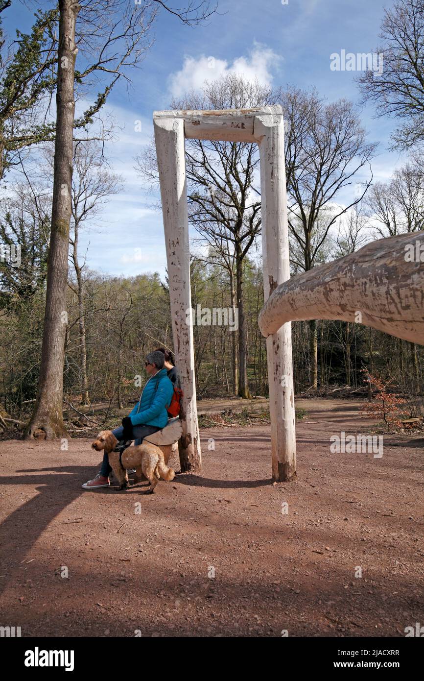 Forest of Dean Skulpturenpark Holzausstellung mit Besuchern und einem Hund. Von Pomona Zipser hinzugefügt in 2016 Gloucestershire England GB Stockfoto