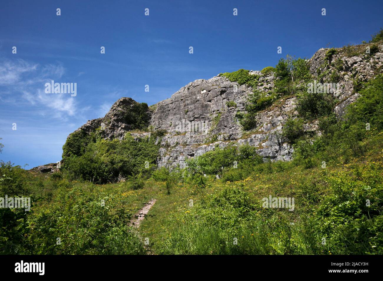 Llanymynech Rocks Naturschutzgebiet. Shropshire. Stockfoto