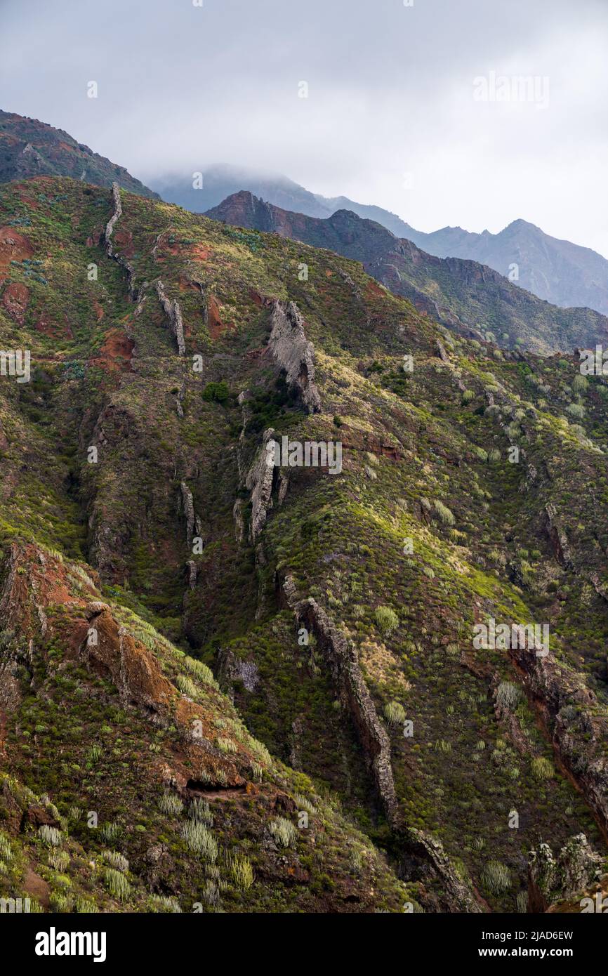 Berglandschaft, Anaga Rural Park, Teneriffa, Kanarische Inseln, Spanien Stockfoto