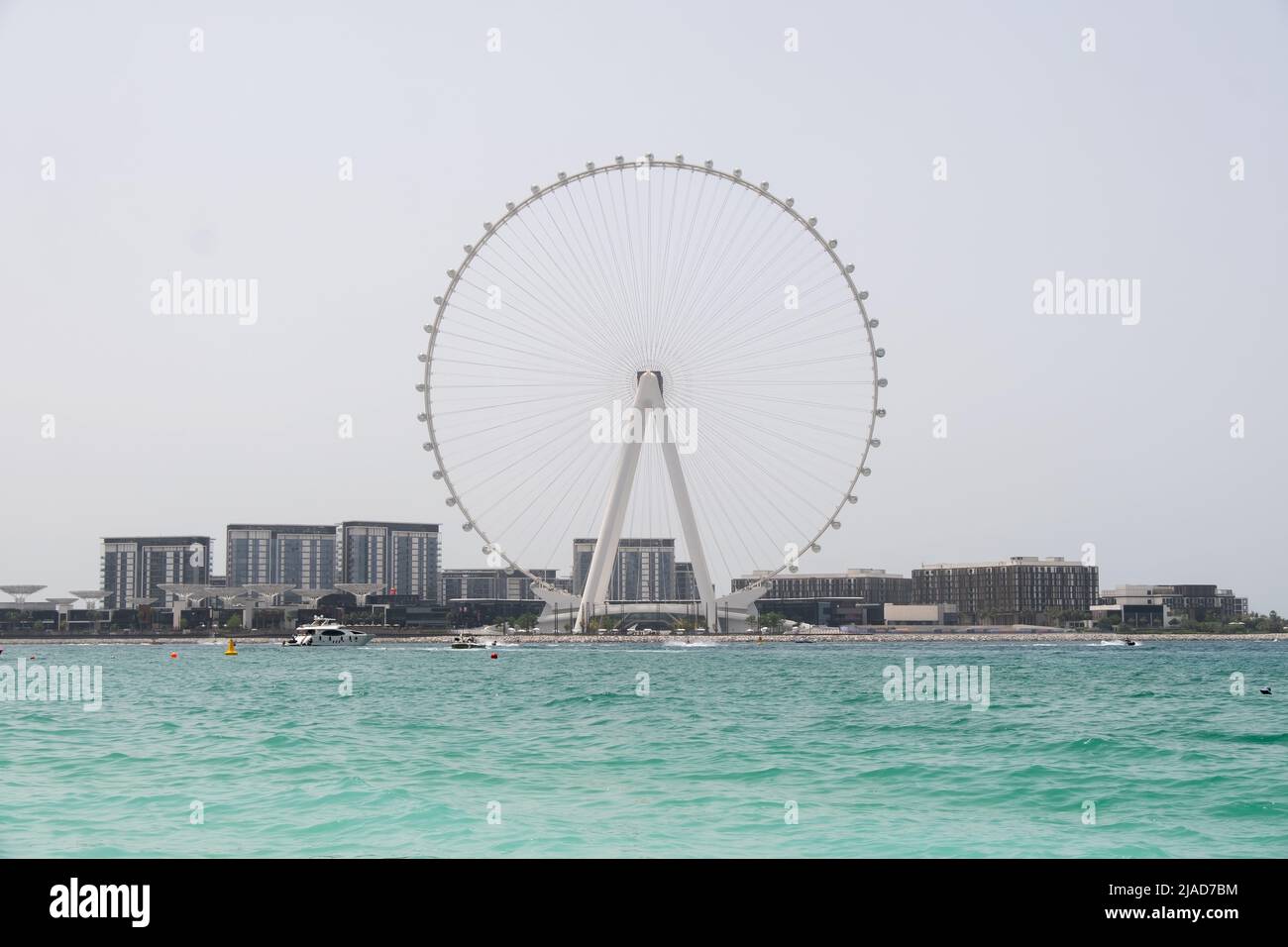 Blick auf das Riesenrad von Ain Dubai und die Skyline der Stadt vom Jumeirah Beach, Dubai, VAE Stockfoto