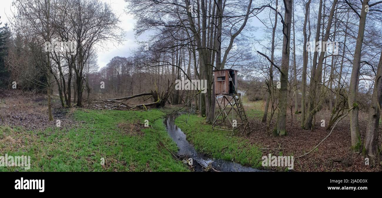Panoramablick auf sanfte Hügel, Wälder und Felder unter natürlichem Licht, weites landschaftliches Naturpanorama mit Tiefe und Ruhe Stockfoto
