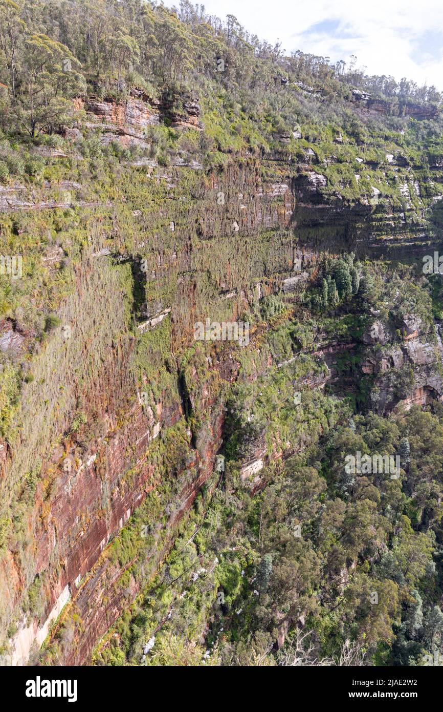 Govetts springen hängende Gärten im Grove Valley, Blue Mountains von New South Wales, Australien Stockfoto