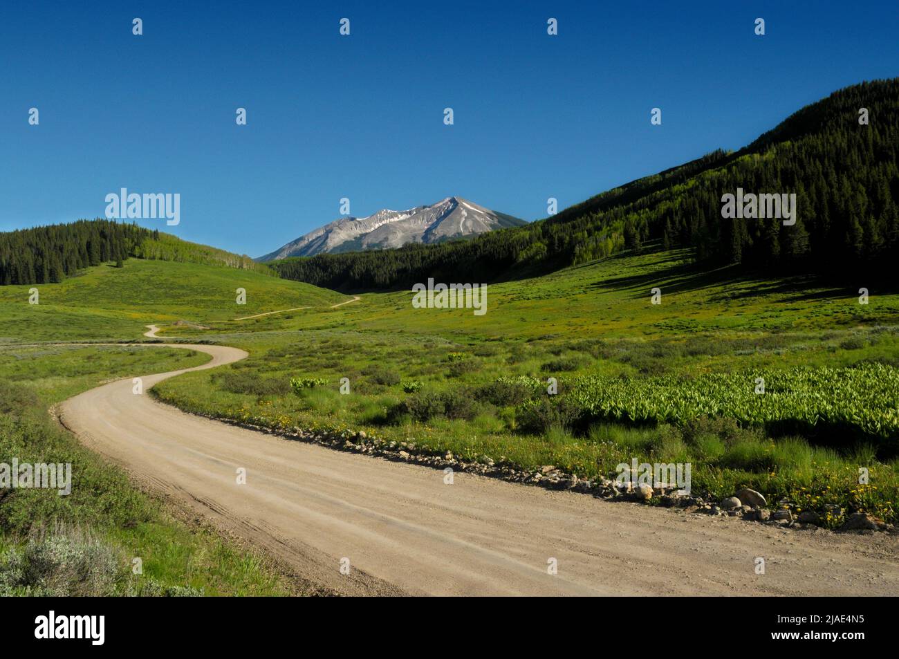 Unbefestigte Straße im Gunnison National Forest, Colorado, USA Stockfoto