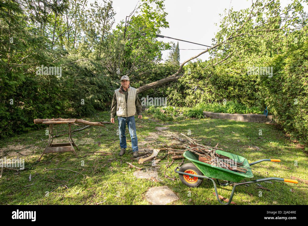 Herr Alex Ouellette steht vor einem angeblich 200 Jahre alten Baum, der durch die starken Winde halb gebrochen wurde. Der Sturm vom 21.. Mai in der Provinz Quebec hinterließ eine Spur der Zerstörung. Meteorologen nennen es ein Derecho, einen weit verbreiteten, langlebigen, geraden Windsturm. In der Gemeinde Saint-Hippolyte, 45km nördlich von Montreal, verloren über 2000 Menschen im Gebiet des Achigan Lake an die Macht. Innerhalb der Provinz itís glaubte, dass über 400.000 Menschen an die Macht verloren. Hydro-Quebec arbeitet daran, den Strom für das Gebiet wieder aufzufüllen. Stockfoto