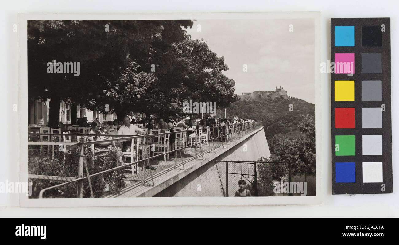 19., Kahlenberg - Café-Restaurant 'Iron Hand', Postkarte. PAG Vienna Verlag, Produzent Stockfoto