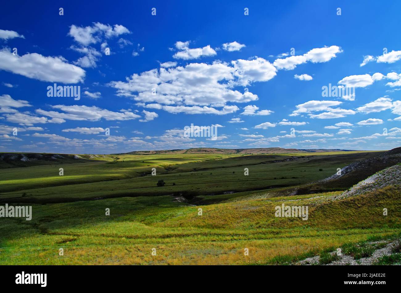 Wunderschöne grüne Hügel und Schluchten im Naturpark „Don“, der Wolgograder Region. Russland Stockfoto