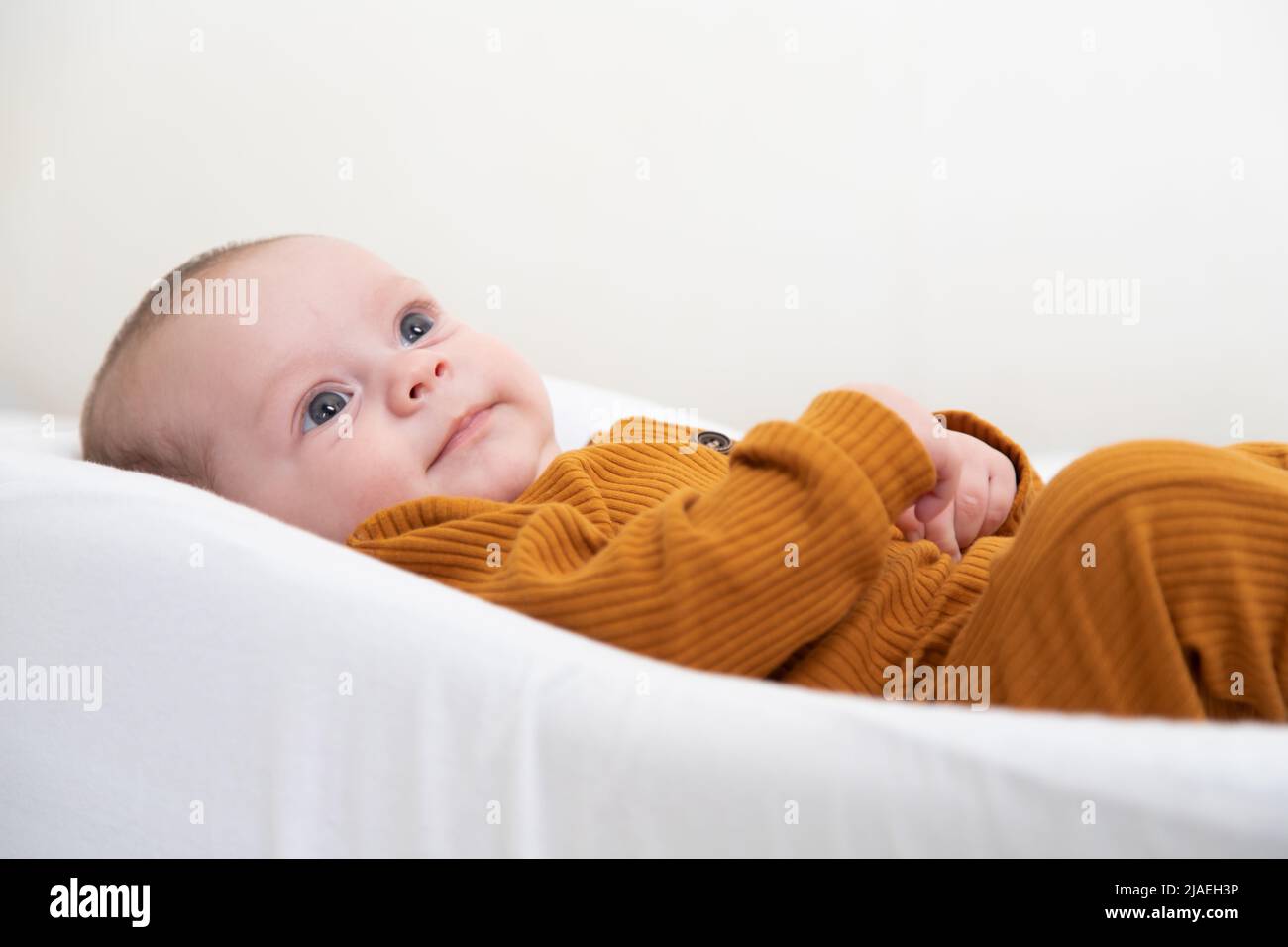 Das Baby liegt in einem Kokon aus Kopierraum. Das Baby ist 0-3 Monate alt. Ein zufriedenes Kleinkind. Ein Artikel über die Wahl eines Kokons für Neugeborene. Ein Artikel über die Vorteile von Kokon. Ein Artikel über Koliken . Weißer Hintergrund. Hochwertige Fotos Stockfoto