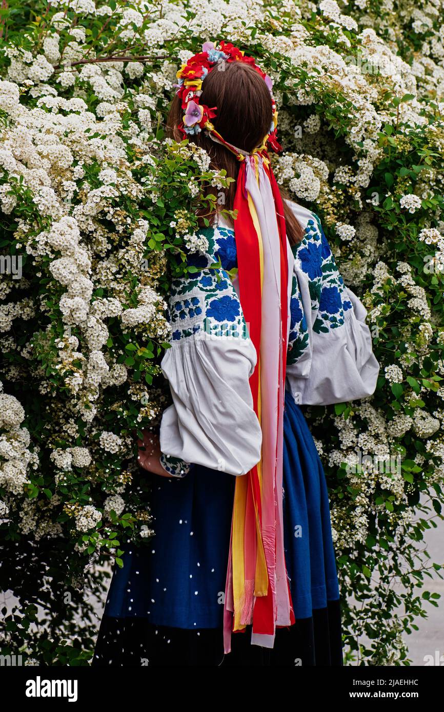 Das Mädchen ging in einen blühenden weißen Busch. Das Mädchen hat einen Kranz auf dem Kopf mit hellen Verbänden. Stockfoto