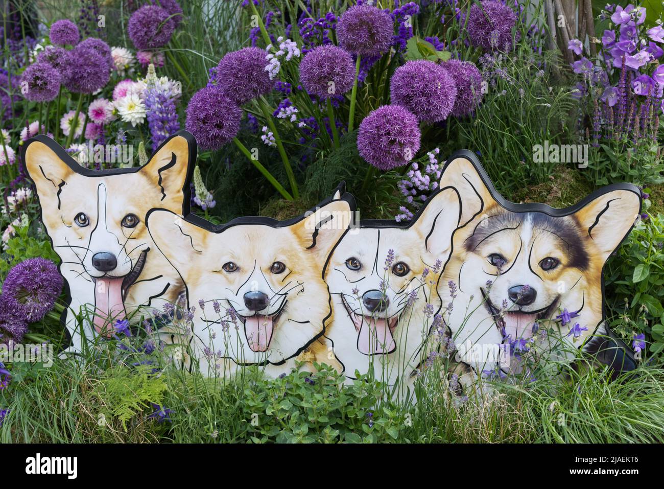 Chelsea in Blütenpracht in London Stockfoto