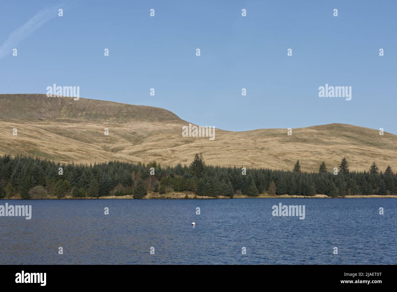 Signalleuchten am Behälter Stockfoto