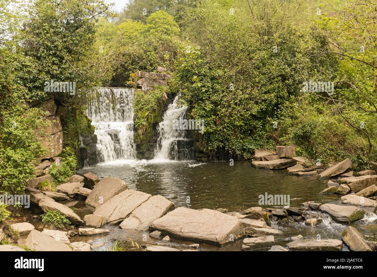 Wasserfall auf dem Fluss Llançà, Penllergare Tal Woods, Penllergaer, Swansea, South Wales, Großbritannien Stockfoto