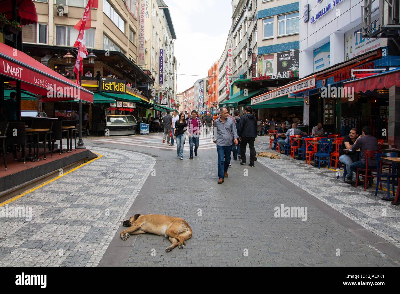 Straßenszene in der Innenstadt Istanbuls mit Menschen, die ihren täglichen Geschäftsbetrieb machen, während Hunde sich hinlegen und sich entspannen. Stockfoto