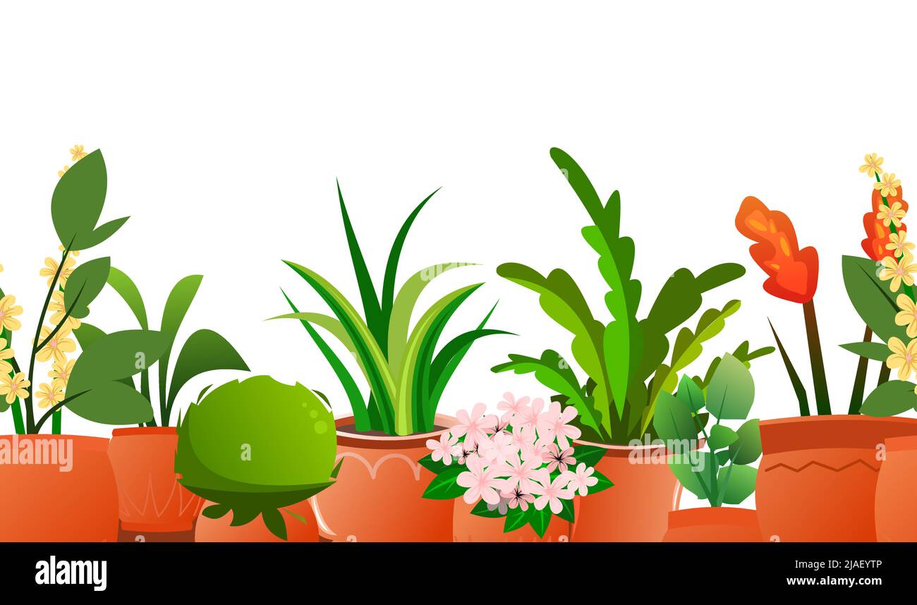 Zimmerpflanzen und Blumen. Nahtlose horizontale Komposition. In Keramiktöpfen. Hausgemachte schöne Kräuter. Isoliert auf weißem Hintergrund. Witziger Cartoon-Style Stock Vektor