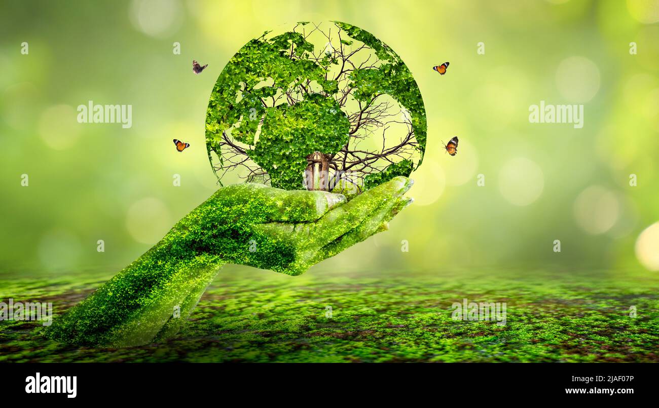 Konzept die Welt retten die Umwelt retten die Welt liegt im Gras des grünen Bokeh-Hintergrunds Stockfoto