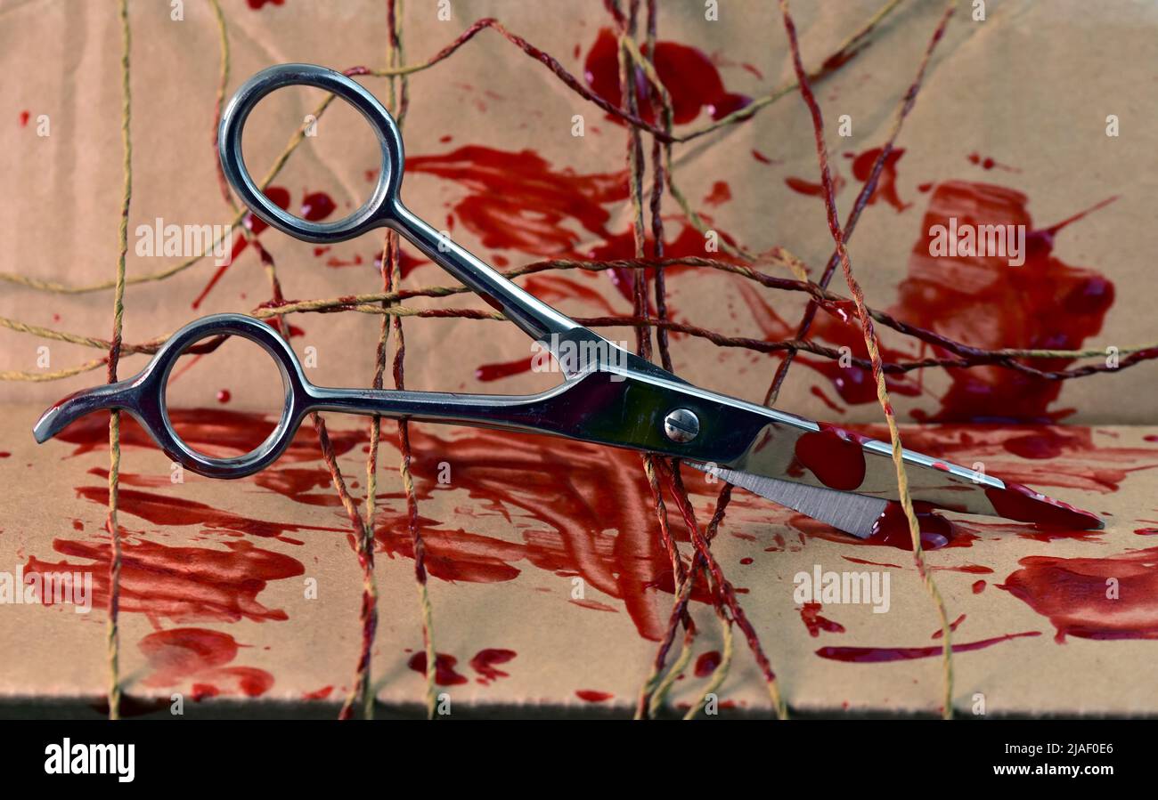 Schere eine Schere mit Blut und Fäden Stockfoto
