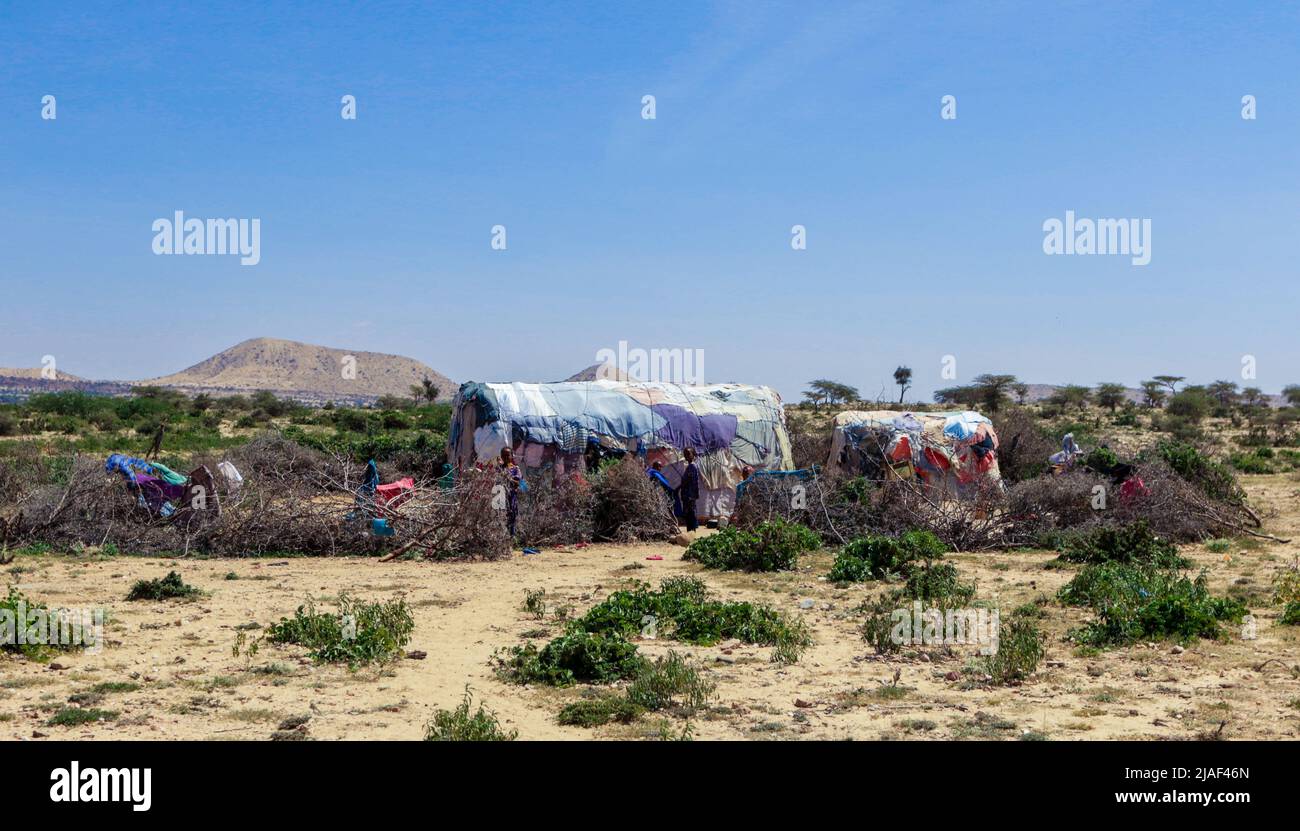 Die Einheimischen leben im Tal in der Nähe von Laas Geel Rocks Stockfoto