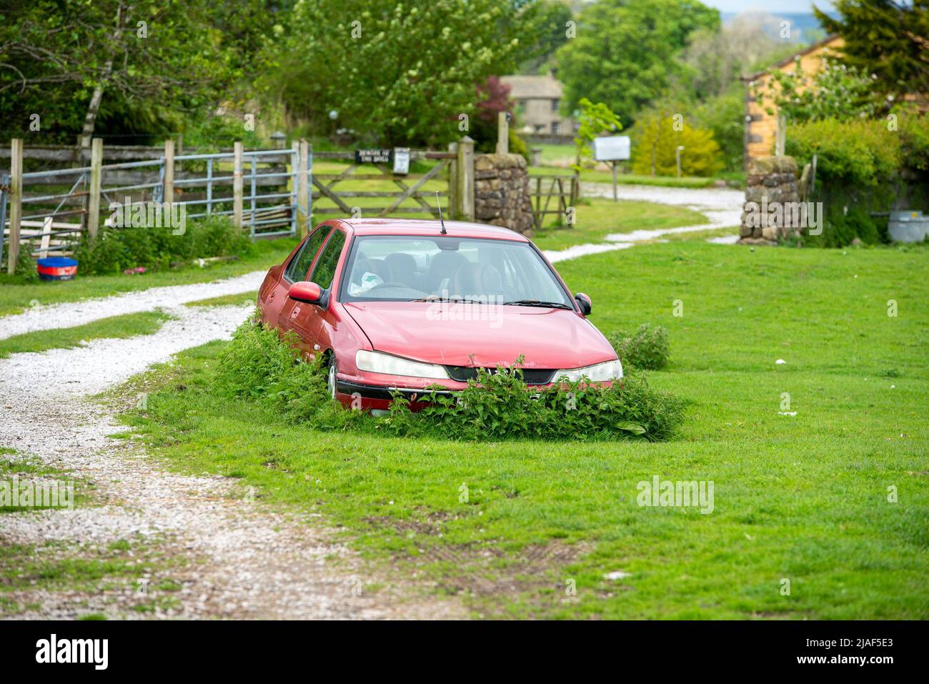 Ein altes Peugeot-Auto auf einem Feld, North Yorkshire, Großbritannien. Stockfoto