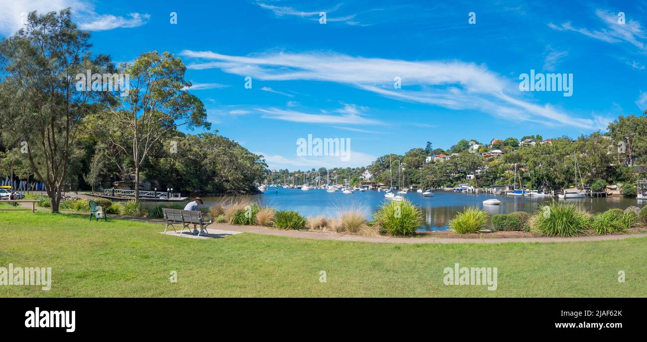 Ein Panoramabild eines Mannes, der auf einer Parkbank im Tunks Park neben Middle Harbour sitzt, der Teil des Sydney Harbour in New South Wales, Australien, ist Stockfoto