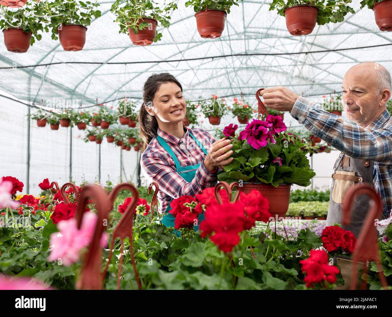 Mann und Frau im Kindergarten sortieren die Blumen im Topf nach Qualität Stockfoto