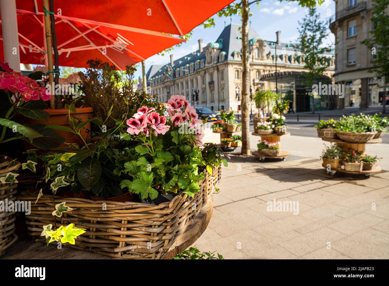Luxemburg-Stadt, Mai 2022. Der Verkauf von Blumen in einer Straße im Stadtzentrum Stockfoto
