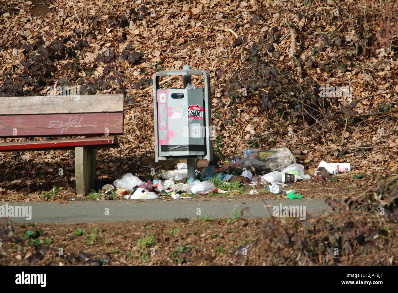 Schwarzschnabelelster (Pica pica), Elstern hat einen Mülleimer auf einer Parkbank in Deutschland geleert Stockfoto